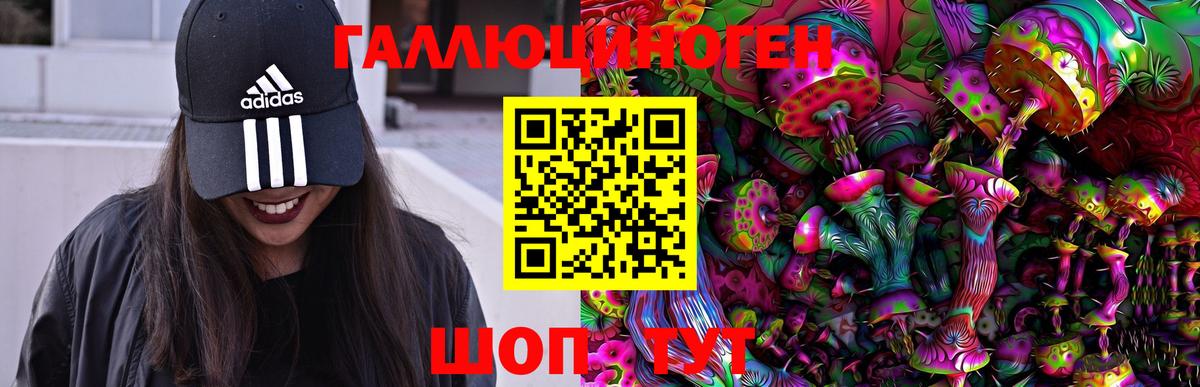 Галлюциногенные грибы Cubensis  Псилоцибиновые грибы MAGIC MUSHROOMS  Вход с VPN  Новоуральск 